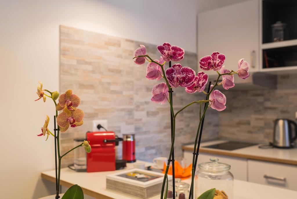Acchiappasogni Guest House Roma Ngoại thất bức ảnh